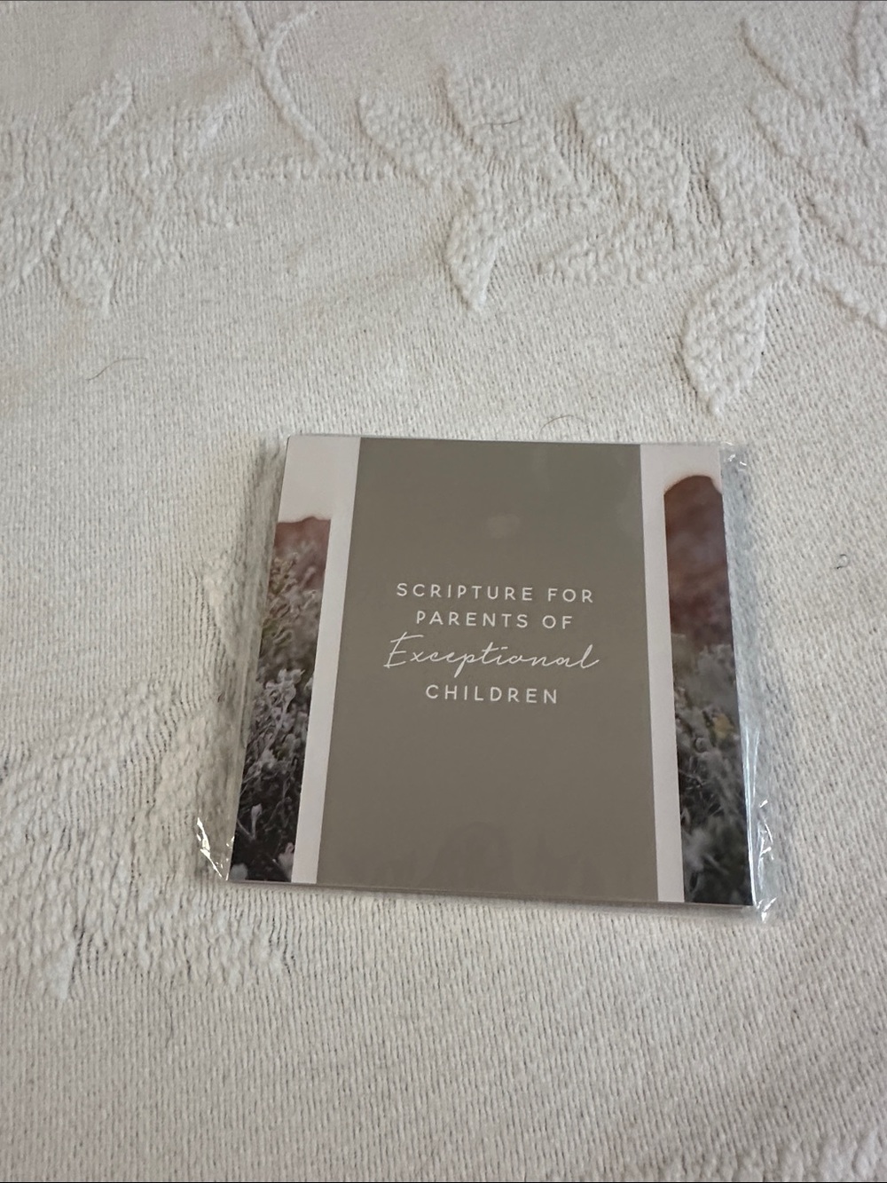 The Daily Grace Co. set of Scripture Cards Parents of Exceptional Children
